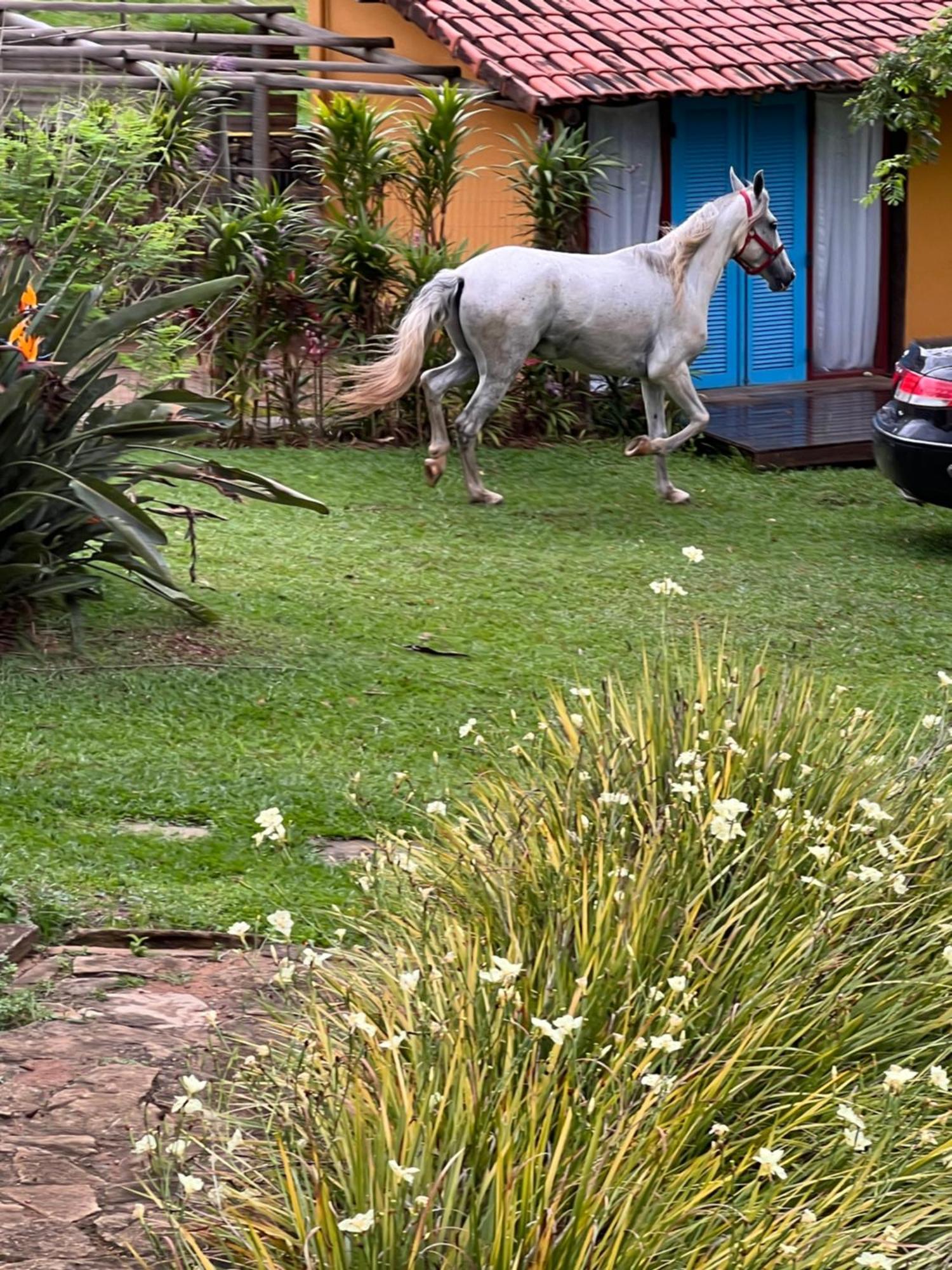 Fazenda Do Engenho Hotel Santa Rita do Rio Abaixo Exterior foto